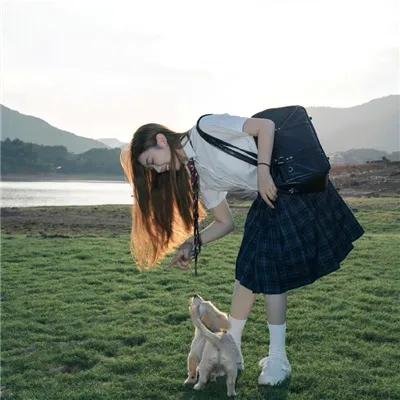 义犬报恩